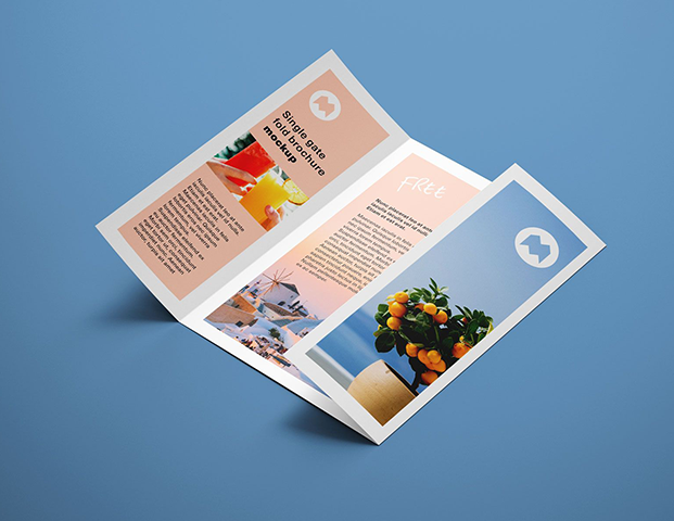 Brochure Design Portfolio